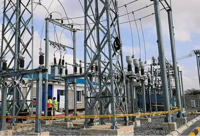 Kenya Power Joins Forces with US Partner to Protect Wildlife from Power Line Electrocution – Ebru Blog